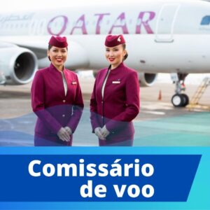 COMISSÁRIO DE VOO (EAD)